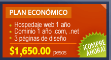 Plan economico $1,650 dominio, diseño y hospedaje