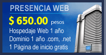 presencia web por $650 pesos año