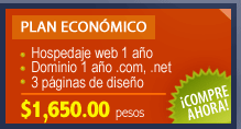 Plan economico web por $ 1,650, dominio, hospedaje y diseño